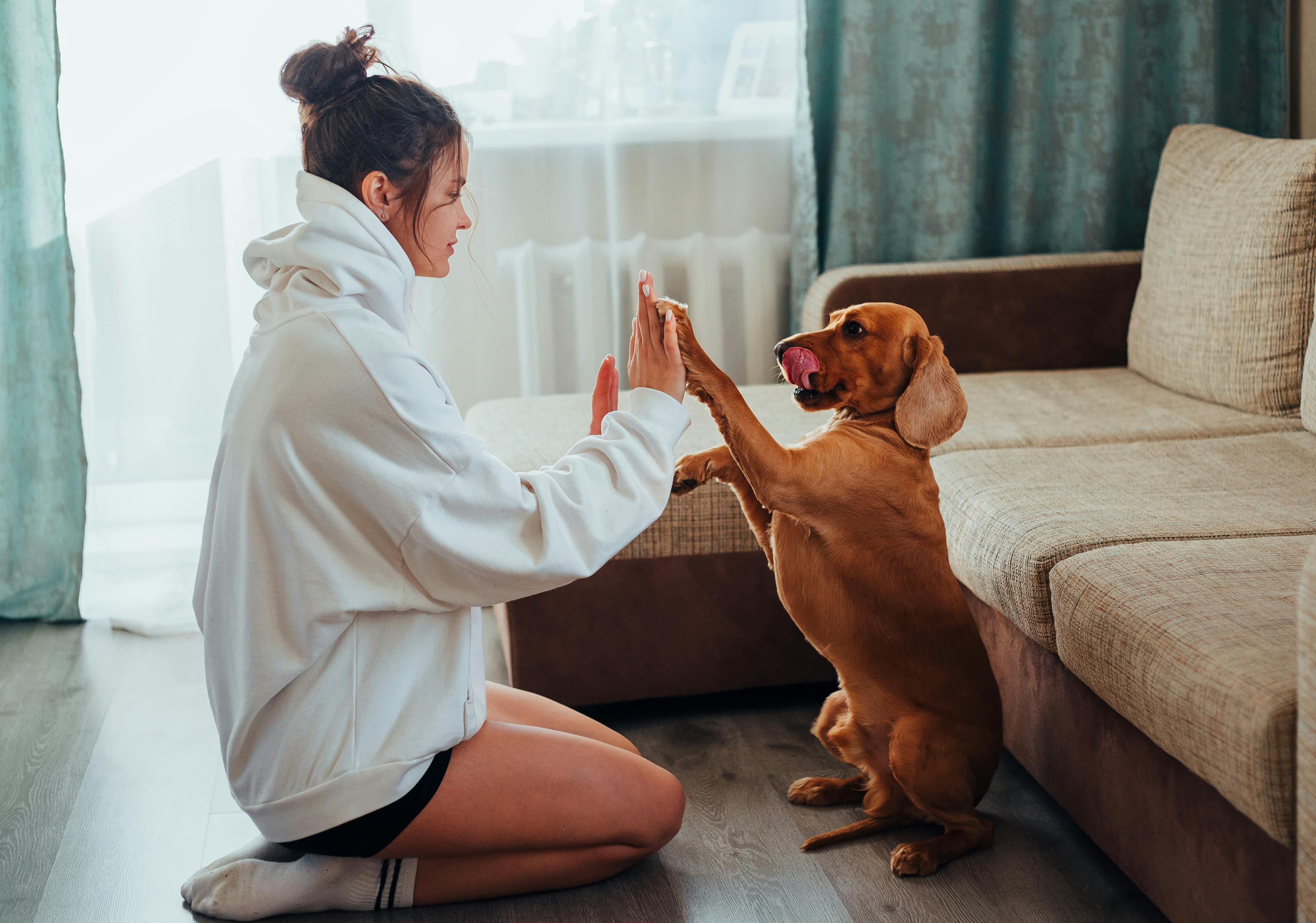 Pet owner at home with a dog